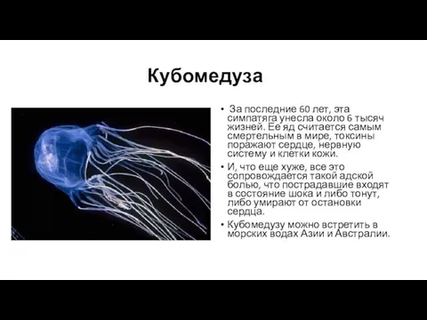 Кубомедуза За последние 60 лет, эта симпатяга унесла около 6 тысяч