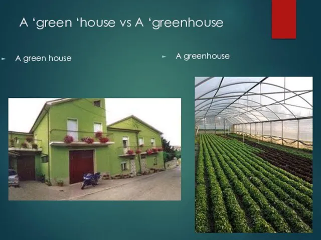 A ‘green ‘house vs A ‘greenhouse A green house A greenhouse