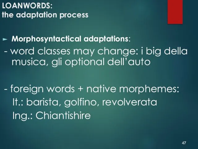 LOANWORDS: the adaptation process Morphosyntactical adaptations: - word classes may change: