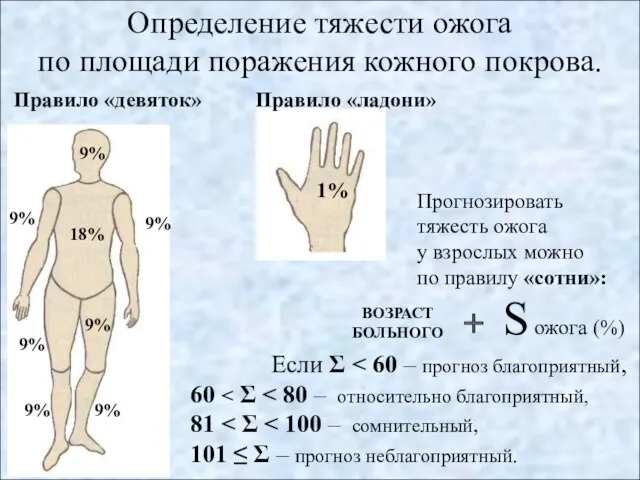 Определение тяжести ожога по площади поражения кожного покрова. Правило «девяток» 9%