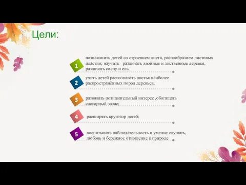 Цели: познакомить детей со строением листа, разнообразием листовых пластин; научить различать