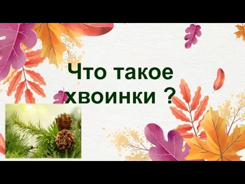 Что такое хвоинки ?