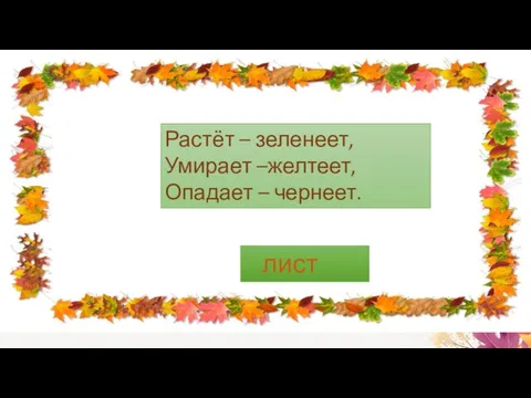 Растёт – зеленеет, Умирает –желтеет, Опадает – чернеет. лист