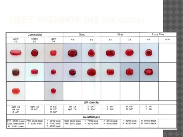 ЦВЕТ РУБИНОВ (ИЗ THE GUIDE)