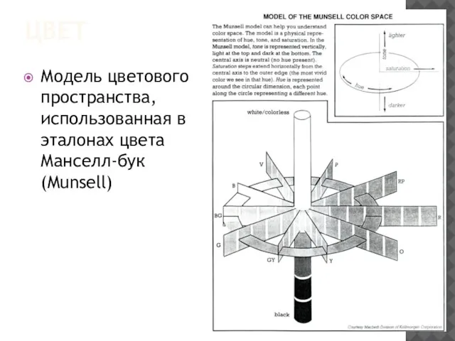 ЦВЕТ Модель цветового пространства, использованная в эталонах цвета Манселл-бук (Munsell)