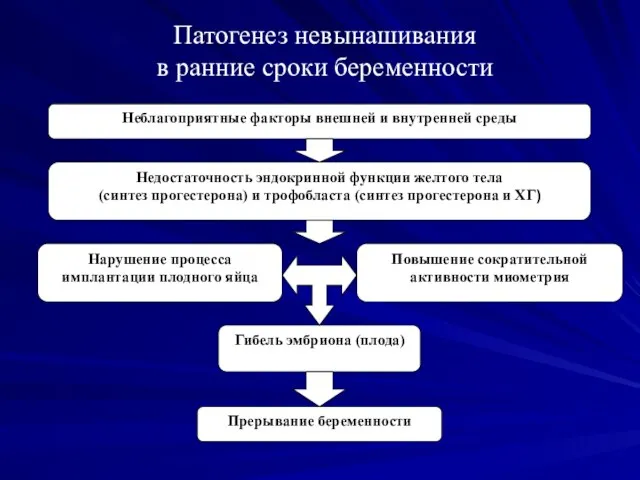 Патогенез невынашивания в ранние сроки беременности