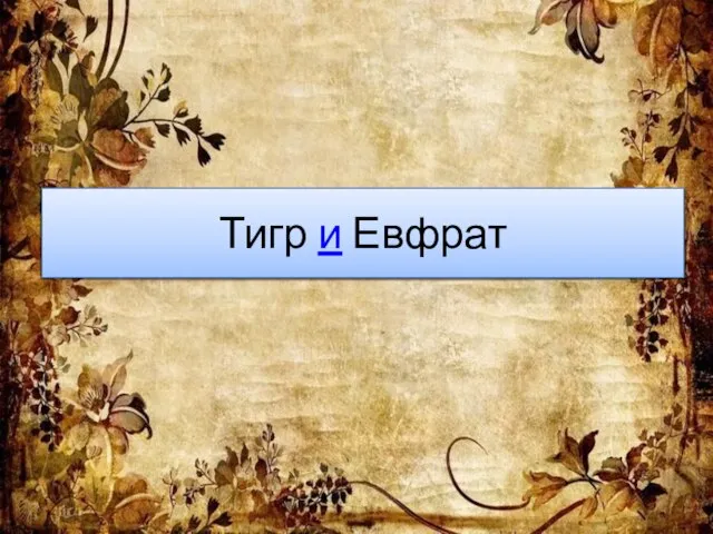 Тигр и Евфрат