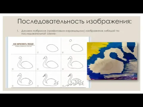 Последовательность изображения: Делаем набросок (графитовым карандашом) изображения лебедей по последовательной схеме: