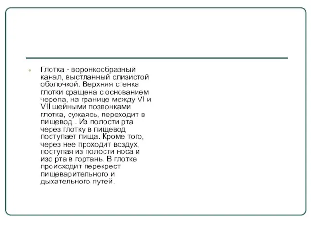 Глотка - воронкообразный канал, выстланный слизистой оболочкой. Верхняя стенка глотки сращена