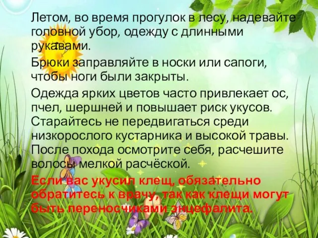 Летом, во время прогулок в лесу, надевайте головной убор, одежду с