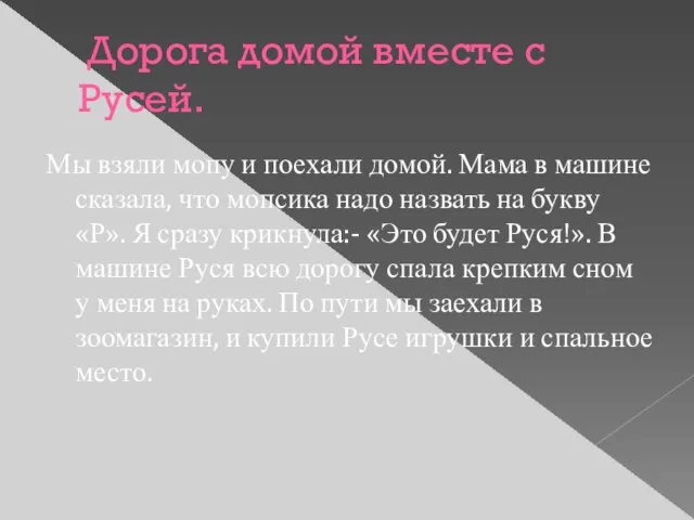 Дорога домой вместе с Русей. Мы взяли мопу и поехали домой.