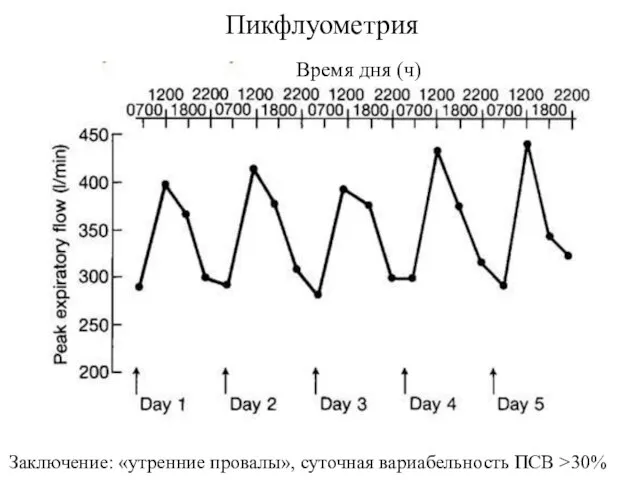 Пикфлуометрия Заключение: «утренние провалы», суточная вариабельность ПСВ >30% Время дня (ч)