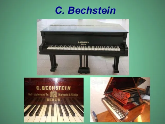 C. Bechstein