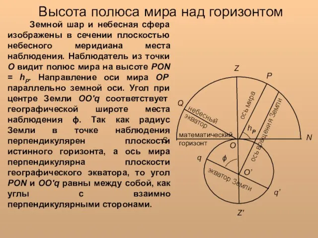 Земной шар и небесная сфера изображены в сечении плоскостью небесного меридиана