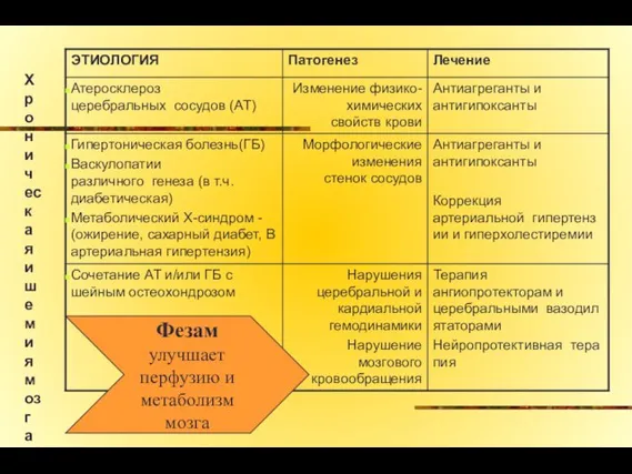 Хроничес к ая ишемия моз г а Фезам улучшает перфузию и метаболизм мозга