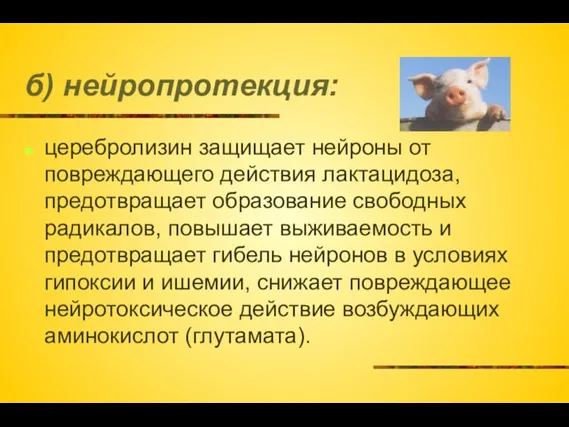 б) нейропротекция: церебролизин защищает нейроны от повреждающего действия лактацидоза, предотвращает образование