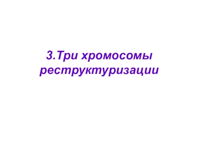 3.Три хромосомы реструктуризации