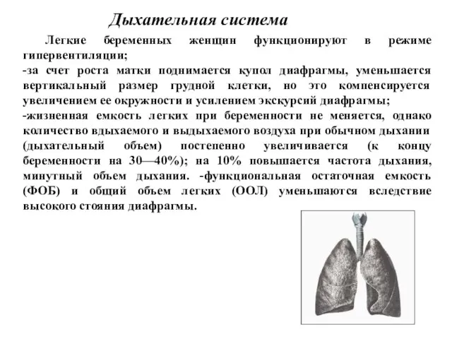 Дыхательная система Легкие беременных женщин функционируют в режиме гипервентиляции; -за счет