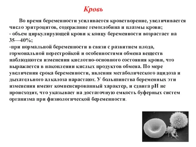 Кровь Во время беременности усиливается кроветворение, увеличивается число эритроцитов, содержание гемоглобина