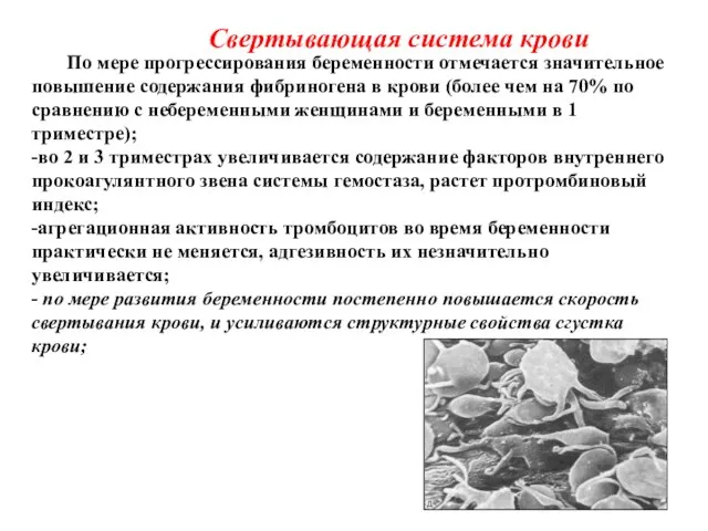 Свертывающая система крови По мере прогрессирования беременности отмечается значительное повышение содержания