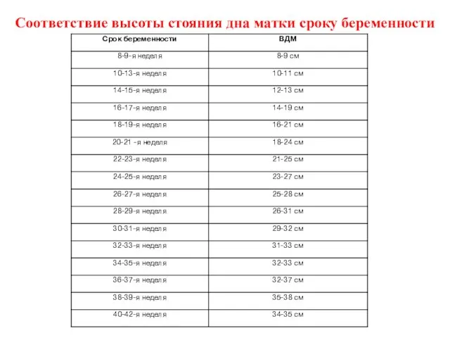 Соответствие высоты стояния дна матки сроку беременности