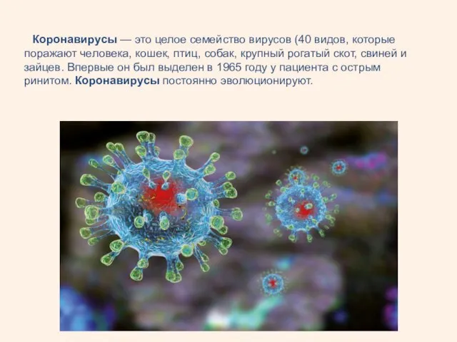 Коронавирусы — это целое семейство вирусов (40 видов, которые поражают человека,