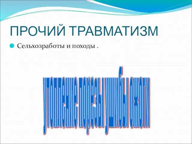 ПРОЧИЙ ТРАВМАТИЗМ Сельхозработы и походы . утопление порезы ушибы ожоги