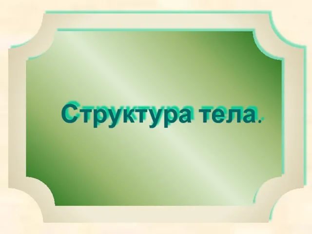 Структура тела.