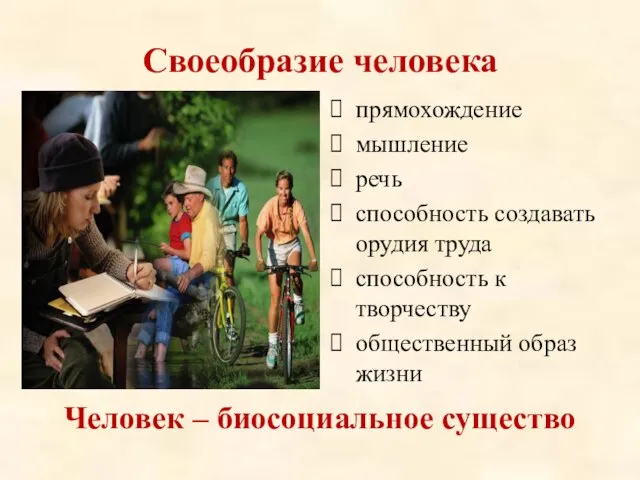 Своеобразие человека Человек – биосоциальное существо прямохождение мышление речь способность создавать