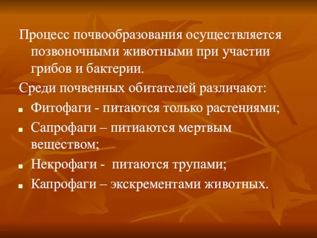 Процесс почвообразования осуществляется позвоночными животными при участии грибов и бактерии. Среди