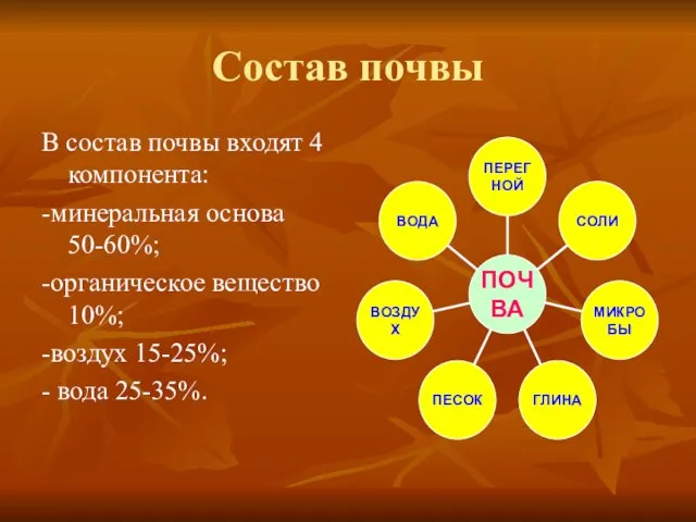 Состав почвы В состав почвы входят 4 компонента: -минеральная основа 50-60%;