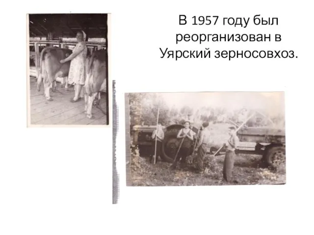 В 1957 году был реорганизован в Уярский зерносовхоз.