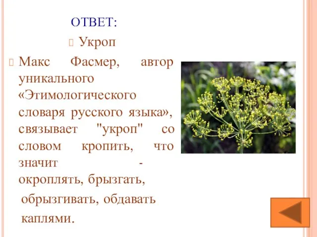 ОТВЕТ: Укроп Макс Фасмер, автор уникального «Этимологического словаря русского языка», связывает