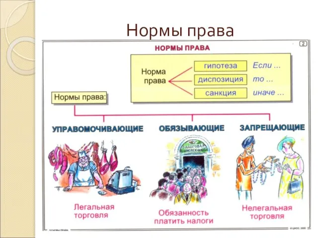 Нормы права