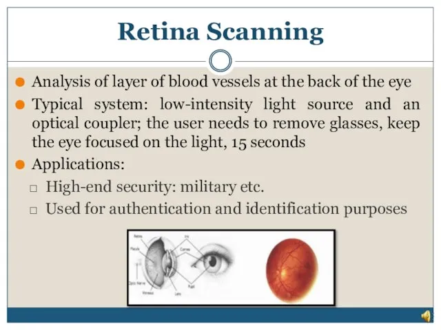 Retina Scanning Analysis of layer of blood vessels at the back