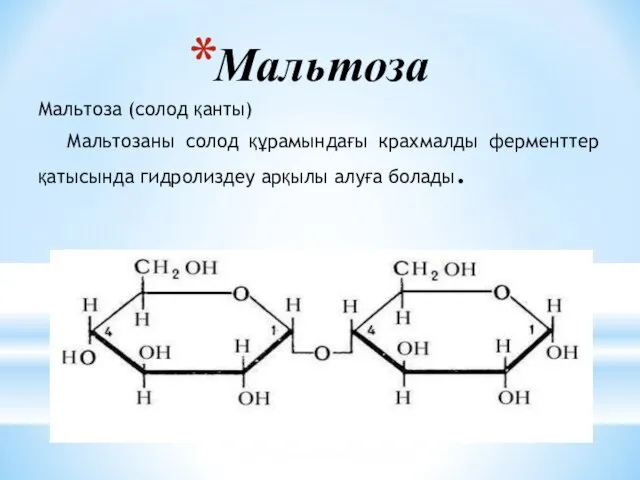 Мальтоза Мальтоза (солод қанты) Мальтозаны солод құрамындағы крахмалды ферменттер қатысында гидролиздеу арқылы алуға болады.