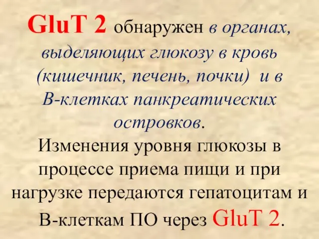 GluT 2 обнаружен в органах, выделяющих глюкозу в кровь (кишечник, печень,