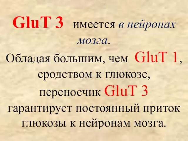 GluT 3 имеется в нейронах мозга. Обладая большим, чем GluT 1,