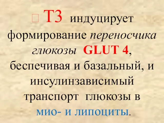  T3 индуцирует формирование переносчика глюкозы GLUT 4, беспечивая и базальный,