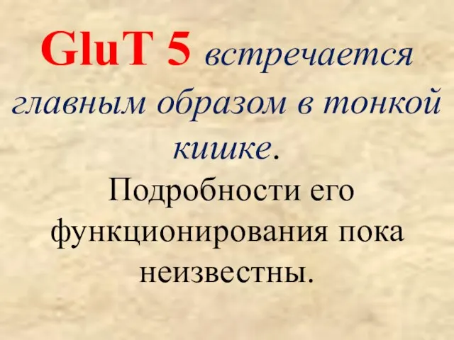 GluT 5 встречается главным образом в тонкой кишке. Подробности его функционирования пока неизвестны.