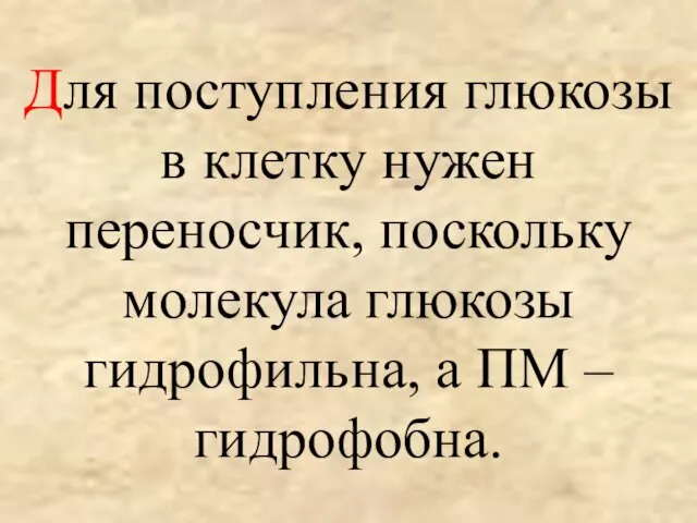 Для поступления глюкозы в клетку нужен переносчик, поскольку молекула глюкозы гидрофильна, а ПМ – гидрофобна.