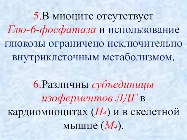 5.В миоците отсутствует Глю-6-фосфатаза и использование глюкозы ограничено исключительно внутриклеточным метаболизмом.