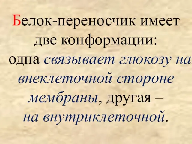 Белок-переносчик имеет две конформации: одна связывает глюкозу на внеклеточной стороне мембраны, другая – на внутриклеточной.