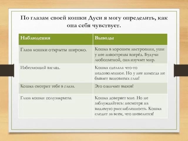 По глазам своей кошки Дуси я могу определить, как она себя чувствует.