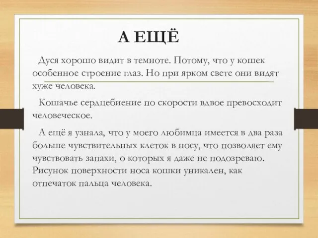 А ЕЩЁ Дуся хорошо видит в темноте. Потому, что у кошек