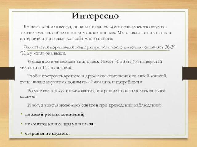 Интересно Кошек я любила всегда, но когда в нашем доме появилось