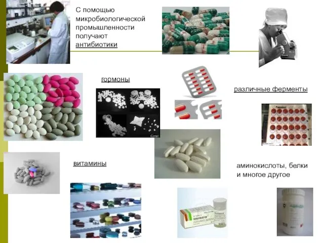 С помощью микробиологической промышленности получают антибиотики гормоны различные ферменты витамины аминокислоты, белки и многое другое