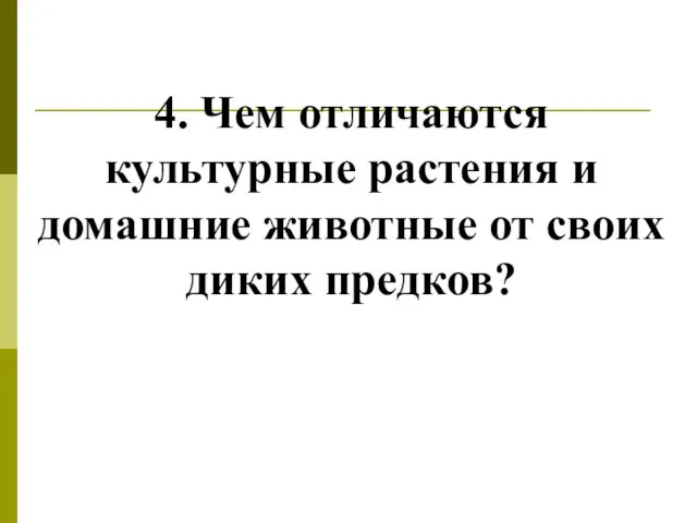 4. Чем отличаются культурные растения и домашние животные от своих диких предков?