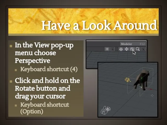 Have a Look Around In the View pop-up menu choose Perspective