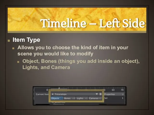 Timeline – Left Side Item Type Allows you to choose the